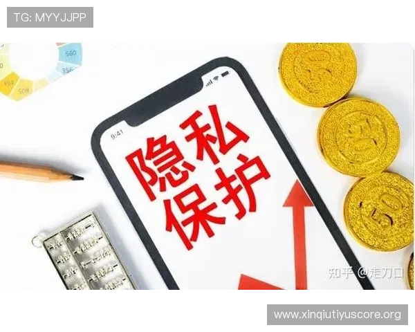 CCTV体育在线直播平台的安全性与隐私保护措施,保障用户权益
